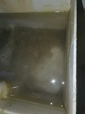 Dirty ice machine