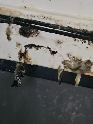 Dirty ice machine